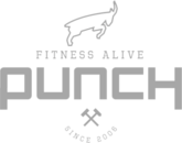 Punch Fitness