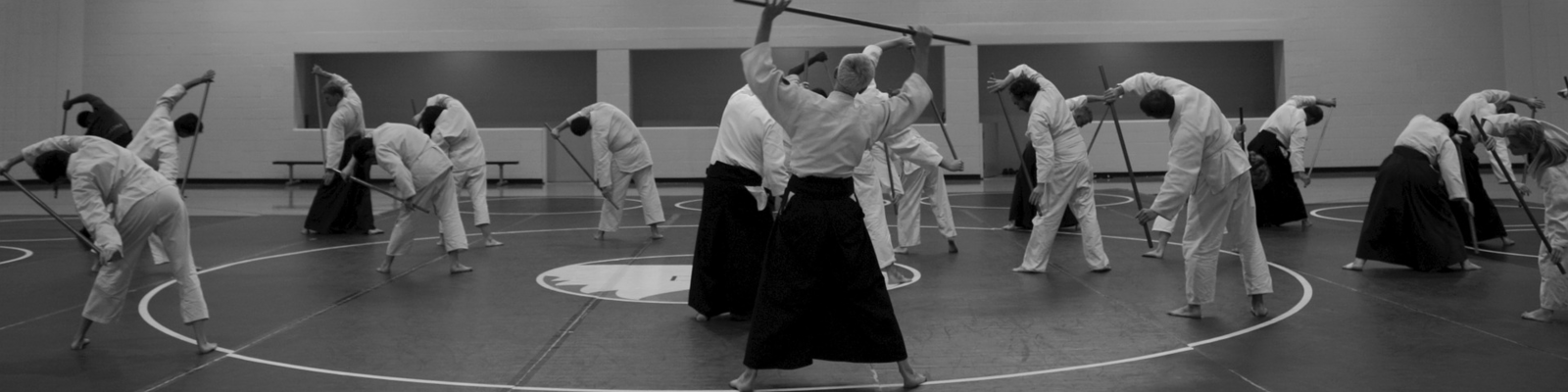 Aikidotraining mit dem Meister